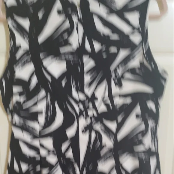 Ronnie Nicole knee length, black and white dress. - Picture 3 of 3